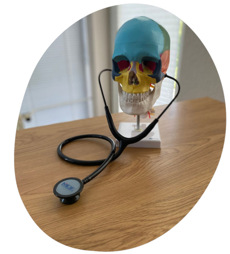 Schädel auf einem Tisch in Praxis für Osteopathie